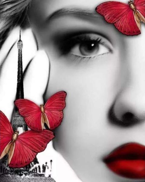 Diamond painting Vrouw vlinder 4050/101