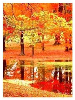 Diamond painting Herfst DL4050/113