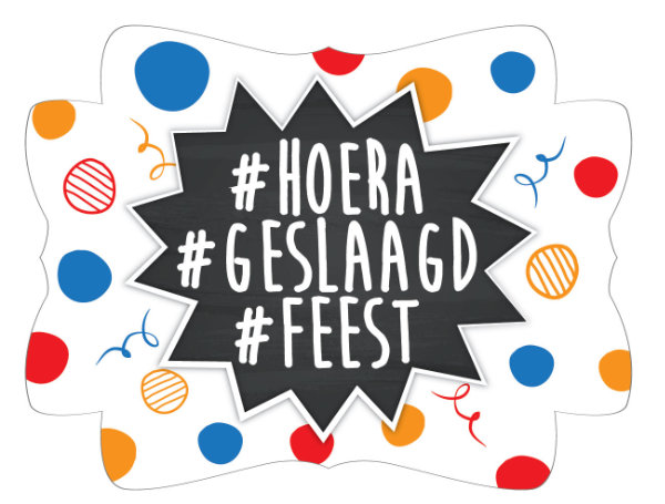 Kroonschild Hoera Geslaagd 439040