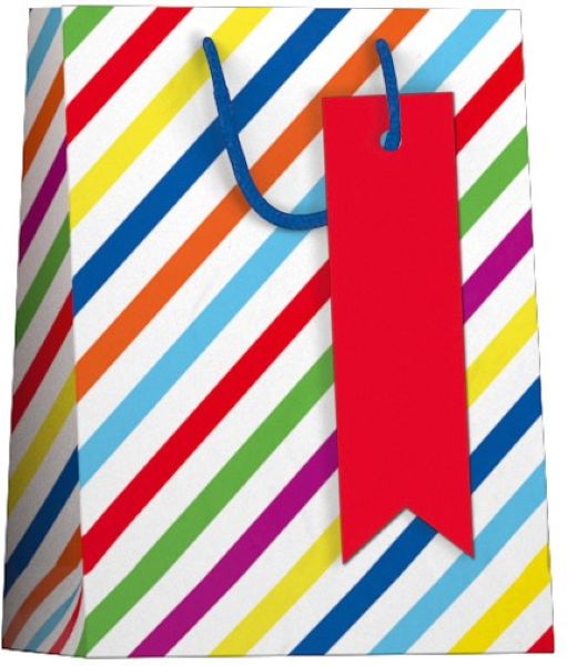 Papieren cadeau tas M Festive