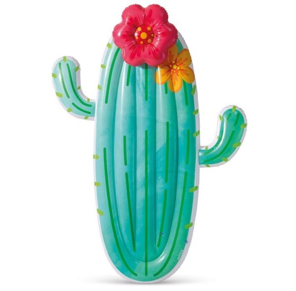 Intex cactus vlot 58793EU