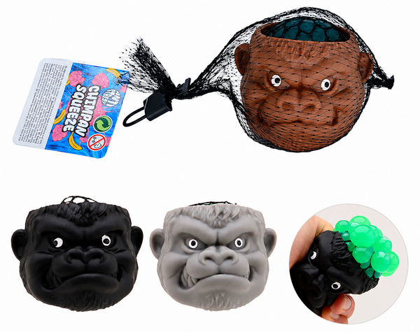 Chimpansqueez hersenen 3 ass.24644