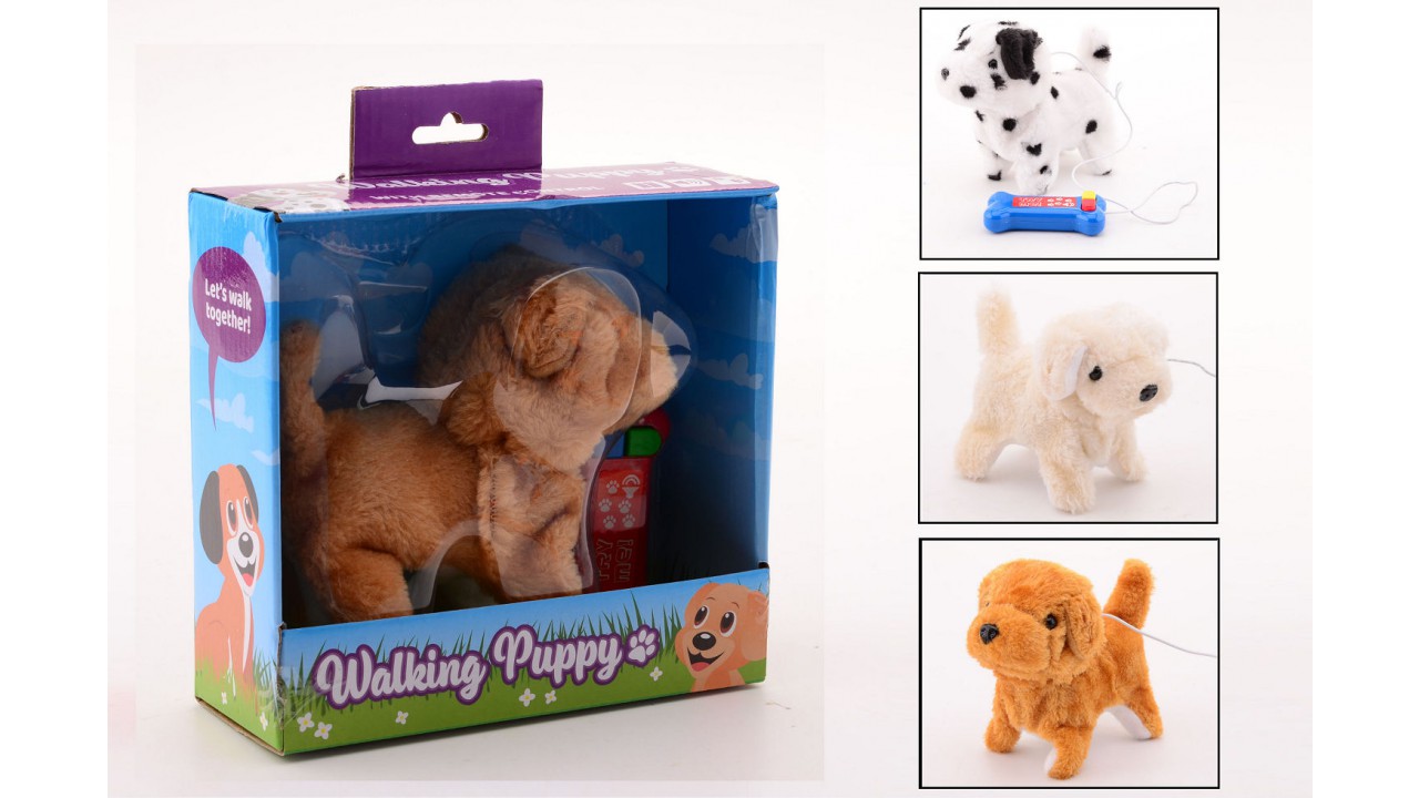 Wandelende puppy 27643