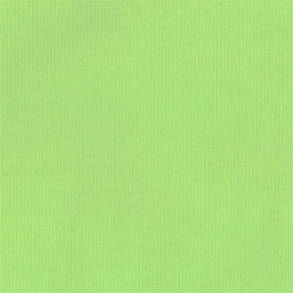 200 cadeauzakjes 7x13 cm. groen 147