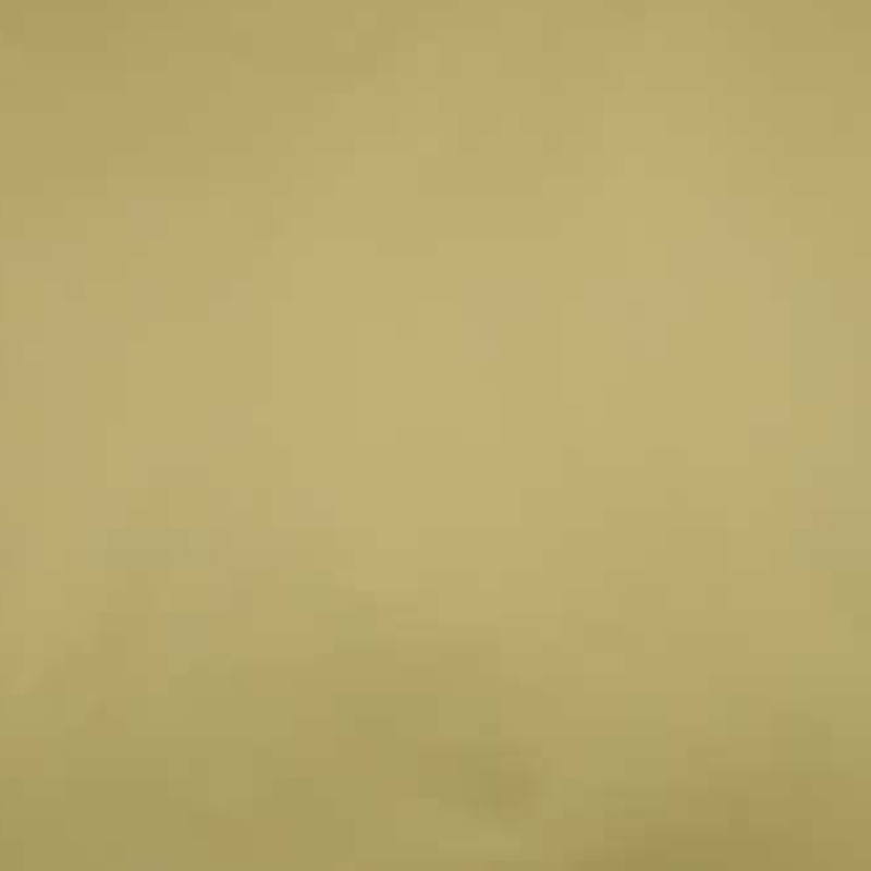 200 cadeauzakjes goud 7x13 cm. 575