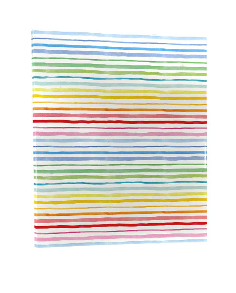 Rainbow ringband 2 rings BTS030